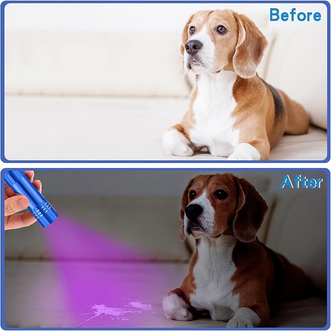 Riakrum 12 Pcs UV Blacklight Flashlights LED Handheld Mini Light Flashlight Small Portable Detector 395nm 9 LED Light for Pet, Carpet Dry Stains Detection, Spot Scorpions, Resin Curing (Blue)