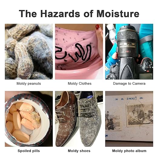 Moisture Absorbers – 250 Packs 5 Gram Silica Gel Packs Food Grade Desiccant Packs, Premium Desiccant Packets for Storage, Color Indicating Silica Gel for Spices, Jewelry, Shoes, Electronics, Tool Box