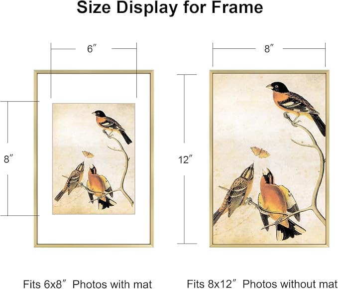 BKABOT 8x12 Picture Frame, Brass Metal Photo Frames with HD Glass, Fits 6x8 with Mat or 8 x 12 without Mat, Display for Wall and Table, 1 Pack