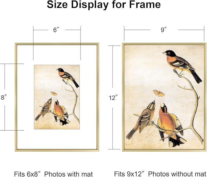 BKABOT 9x12 Picture Frame, Brass Metal Photo Frames with HD Glass, Fits 6x8 with Mat or 9 x 12 without Mat, Display for Wall and Table, 1 Pack