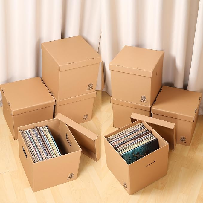 Jelmaica 12" Vinyl Record Storage and Moving Box - Sturdy Cardboard with Removable Lid - Holds up to 60 Records or Laser Discs - Set of 2 Boxes (2) (2)