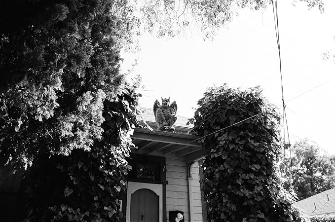 ISO 400 35mm Black and White Film for Street Photography, Film 35 mm Ready on Camera, Scan Friendly and Home Developing, 36EXP, SHD400-3 Pack