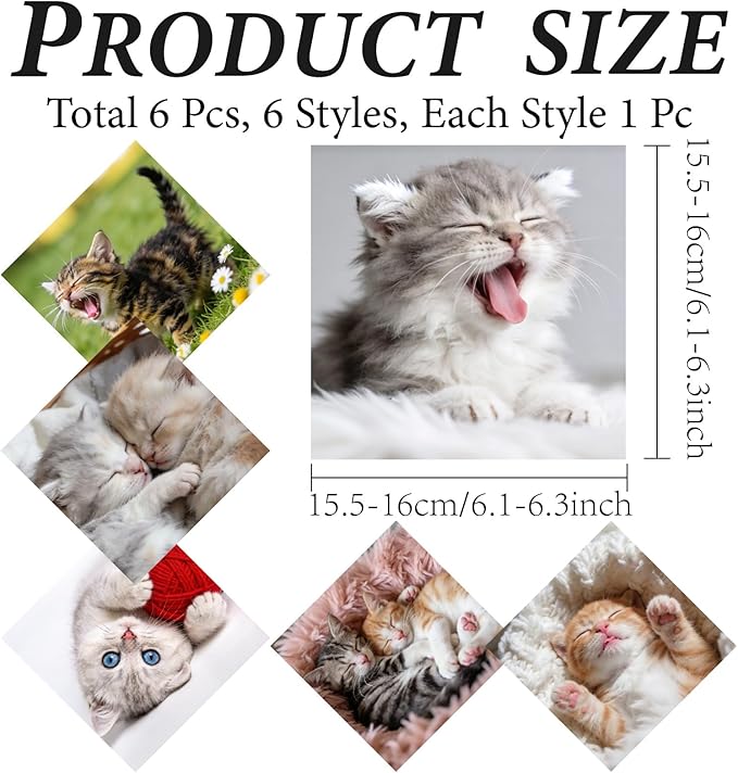 CREATCABIN 6 Pcs Cute Cats Microfiber Glasses Cleaning Cloth Reusable Thicken Sunglasses Cloth Soft Multicolor Eyeglasses Cleaner Wipes Washable for Camera Cell Phone Screens Glasses Gift 6x6in
