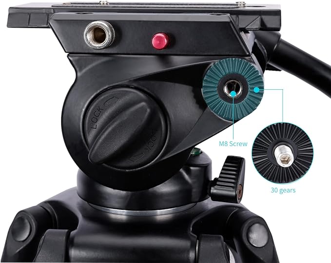 Niceyrig Video Tripod Extension Side Plate with Cold Shoe 1/4'' & 3/8'' ARRI Hole, M8 Threaded 30-Gear Type Rosette Mount Adapter Applicable for Benro, Miliboo, Teris, Weifeng - 592