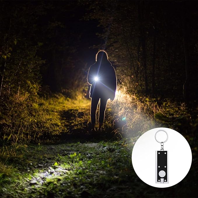 Mudder 12 Pcs Mini LED Keychains Light Torch Flashlight Key Ring Portable Key Chain Flash Light for Camping Outdoor Gift (Black)