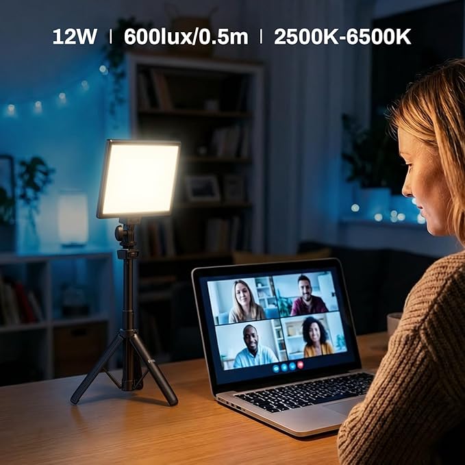 RALENO LED Video Light Panel, Camera Light for Video Conference Recording with 4000mAh Battery Type-C USB Ports, CRI>95 2500K-6500K Photo Lights for Outdoor Photography Live Streaming Zoom Call