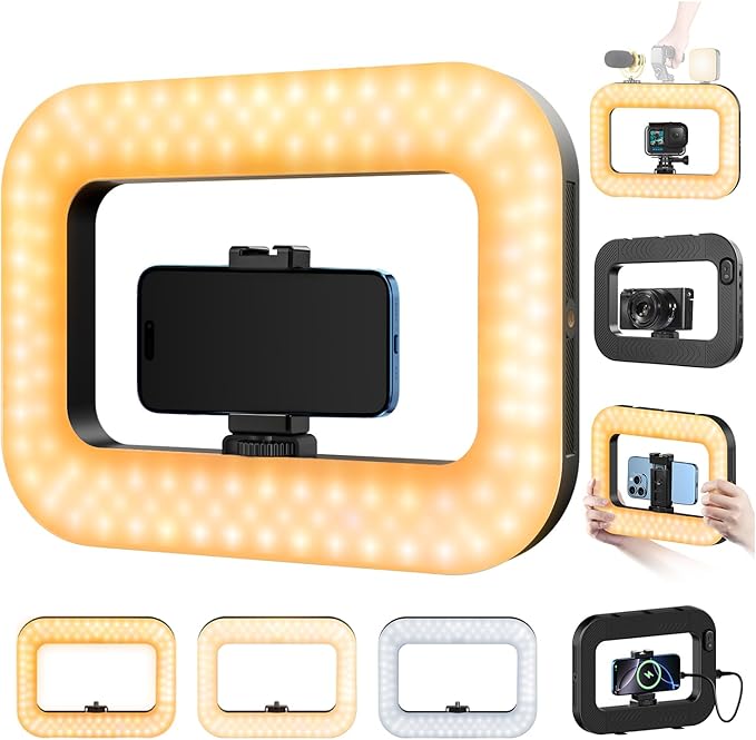 yAyusi Cell Phone Light for Video Recording, Handheld Phone Stabilizer with Light, 8000mAh LED Selfie Phones Ring Light with Phones Holder, Smartphone Video Rig for Camera, Action Camera, Vlog, TikTok