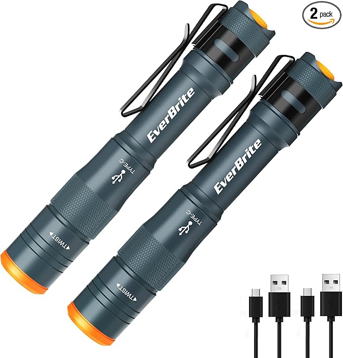 EverBrite 2-Pack Mini Pen Light, Rechargeable Pocket Pen Flashlight with USB C Cable, 4 Light Modes, 300 Lumens Small Flashlight with Clip for Inspection, Repair, Outdoors, Emergency, Deep Blue