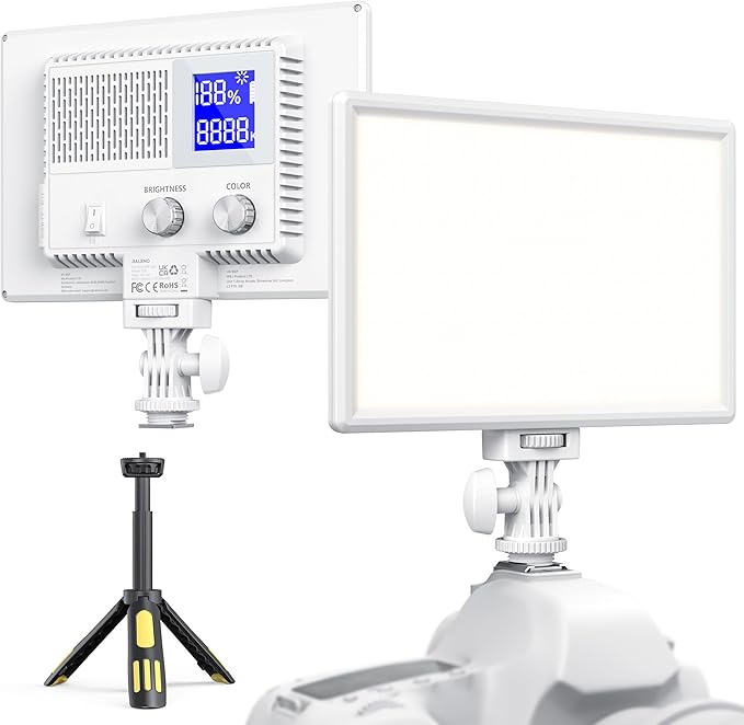 RALENO LED Video Light, White Camera Light for Pictures Video Recording with 4000mAh Battery Support Type-C USB Power Supply, CRI>95 2500K-6500K Photo Lights for Outdoor Photography Live Streaming