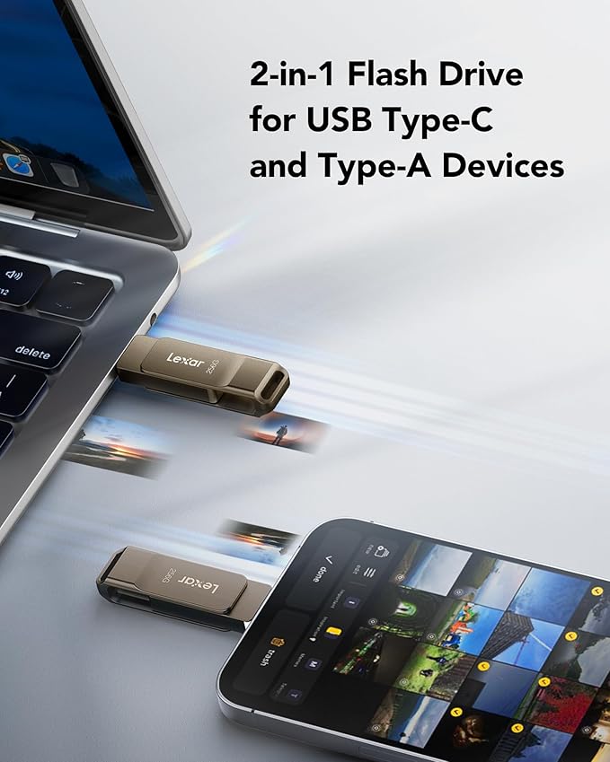 Lexar D40E 256GB Dual USB 3.2 Gen 1 Type-C Jump Drive, USB-C Flash Metal Housing Swivel Design Thumb Drive (Titanium Grey)