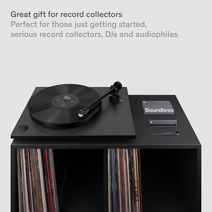 Boundless Audio Record Cleaning Kit - 2-in-1 Vinyl Cleaning Kit Includes Record Brush & Stylus Cleaner - Carbon Fiber Anti-Static Vinyl & Stylus Brushes