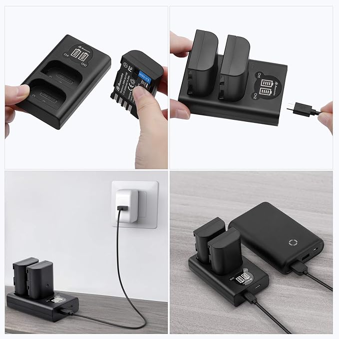 2 Pack DMW-BLF19, DMW-BLF19E, DMW-BLF19PP Replacement Batteries and Dual USB Charger for Panasonic Lumix DC-G9, DC-GH5, DMC-GH3, DMC-GH3K, DMC-GH4, DMC-GH4K Digital Camera