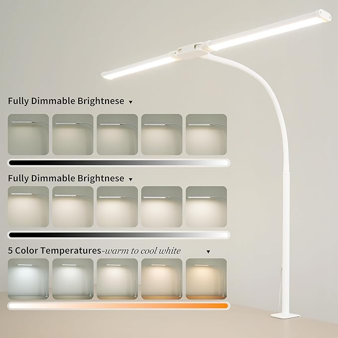 Dual-Head LED Desk Lamp for Office Home, Adjustable Flexible Eye-Caring Desk Light, 5 Modes 10 Brightness Adjustment, USB Adapter Desk Lamp with Clamp-ST-W