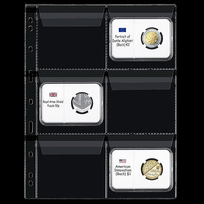 60 Pockets Coin Binder Pages - 3.8×3.2 inch Holders 10 pcs Loose-Leaf Sheets Acid-Free Collection Holders for Medallion Coin Stamp Currency Collecting Supplies 97x82 mm / 3.82x3.23 inch CS03206