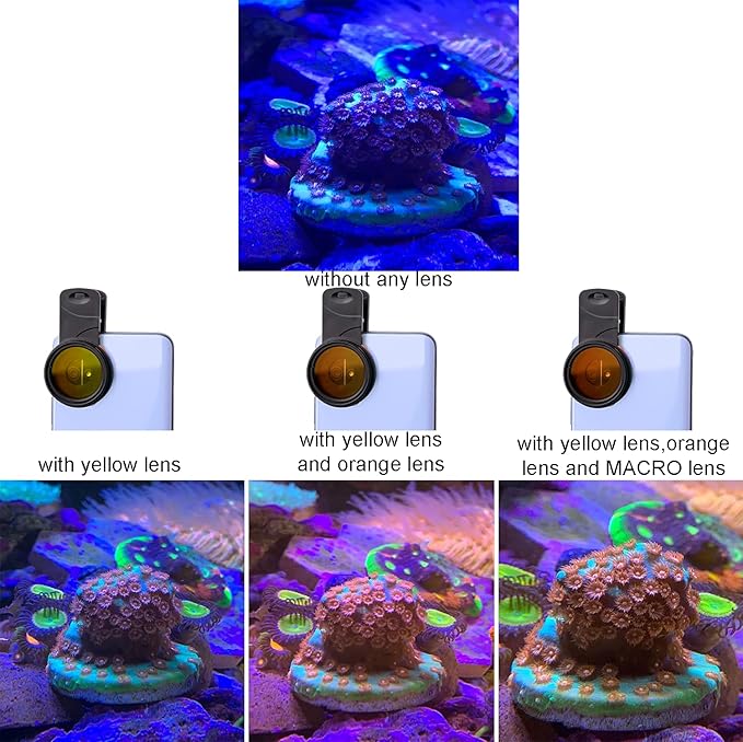Coral Lens Set, Smartphone Reef Lens Kits, 1 Dust Case, 2 Clips, 8 Lenses: Yellow, Orange, Gradual Yellow Orange Pink, Star6, CPL, Macro