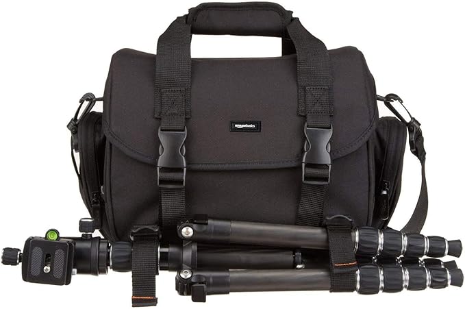Amazon Basics Large DSLR Gadget Bag for Camera Storage with Shoulder Strap, Black with Grey Interior