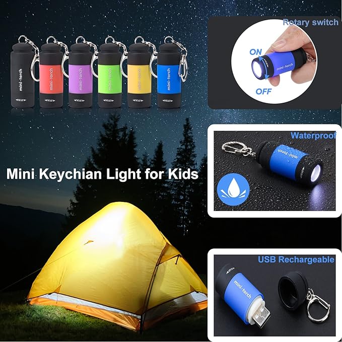 Mini Flashlight Keychain Rechargeable, Colorful Small LED Flashlight Torches for Kids/Adult Hiking Camping,Waterproof Pocket Flashlight for Kids for Backpack,(12 Pack)