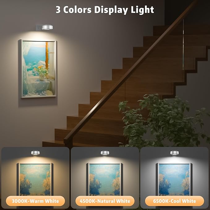 3PCS Picture Lights,3 Colors Paintings Light Rechargeable Battery Wall Light Dimmable and Timer Metal Art Light for Paintings,Display, Wall, Artwork, Gallery (Silver)