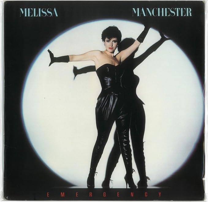 (1,000) 12" Archival Resealable Record Outer Sleeves - Super Clear Premium 2 Mil Thick Archival Quality BOPP #12SB02RS