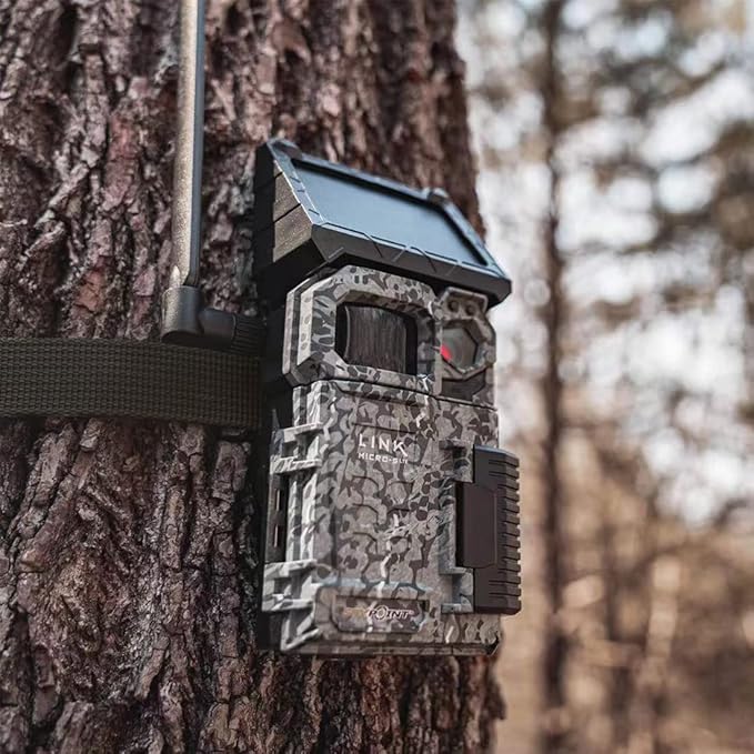 upperosey Trail Camera Straps, Game Cam Mounting Strap with Long-Lasting Alloy Buckle, 25mm Width* 6 ft. Long, 2-Pack, Brown