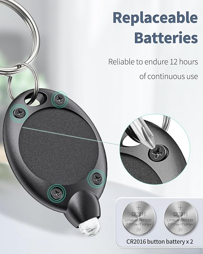 Uniclife 10 Pack LED Keychain Flashlight Mini LED Keychain Light 12 Lumen Portable Ultra Bright Battery Powered Key Ring Torch for Outdoor Camping Hiking and Emergency Lighting, Black Shell