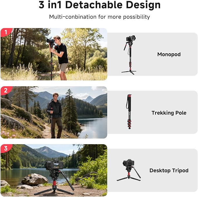 Avella C324D Carbon Fiber Monopod — 67" Telescopic Video Monopod for DSLR & Mirrorless Cameras