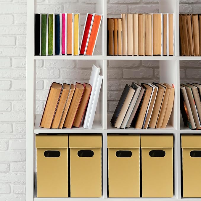 Lineco Archival Record Storage Cartons, Ready-To-Assemble Filing Boxes for Organizing and Storing Documents, Prints, or Photos. Acid-Free, Buffered Corrugated Board, 6x15 x10in, Tan, Pack of 5