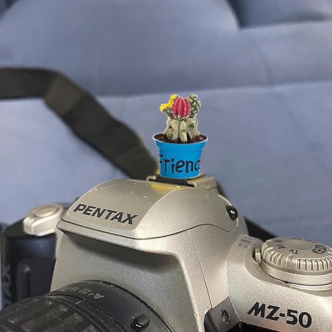 Camera Hot Shoe Cover, Plants Cactus Hot Shoe Cap, Hot Shoe Protector Compatible with Sony Fujifilm Fuji Canon Nikon Pentax Leical Panasonic (2pcs Friend Flower)
