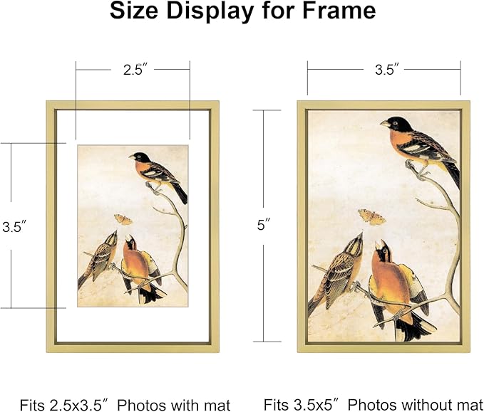 BKABOT 3.5x5 Picture Frame, Brass Metal Photo Frames with HD Glass, Fits 2.5x3.5 with Mat or 3.5x5 without Mat, Display for Wall and Table, 1 Pack