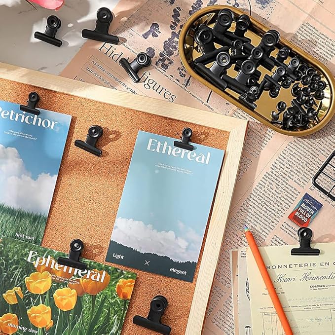 Bulldog Clips with Hole for Push-pin, Paper File Clips with Strong Spring, Small Metal Binder Clips, Seal Clamps for Coffee Tea Food Bags, Decorative Clips for DIY Photo Grid (Black,2.5inch)
