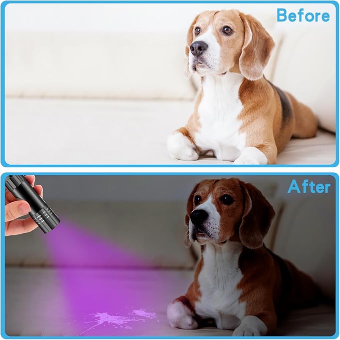 Riakrum 12 Pcs UV Blacklight Flashlights LED Handheld Mini Light Flashlight Small Portable Detector 395nm 9 LED Light for Pet, Carpet Dry Stains Detection, Spot Scorpions, Resin Curing (4 Colors)