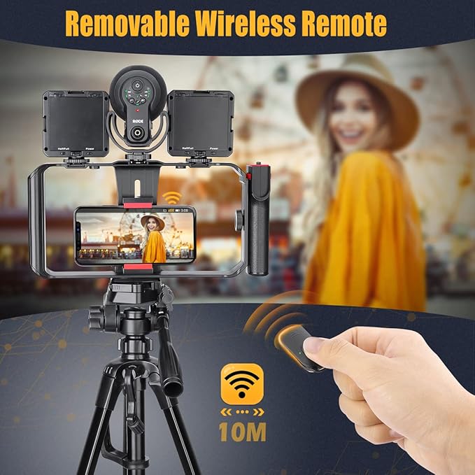 Zeadio Smartphone Video Cage Rig with a RGB Video Light, Fits for All iPhone and Android Smartphones