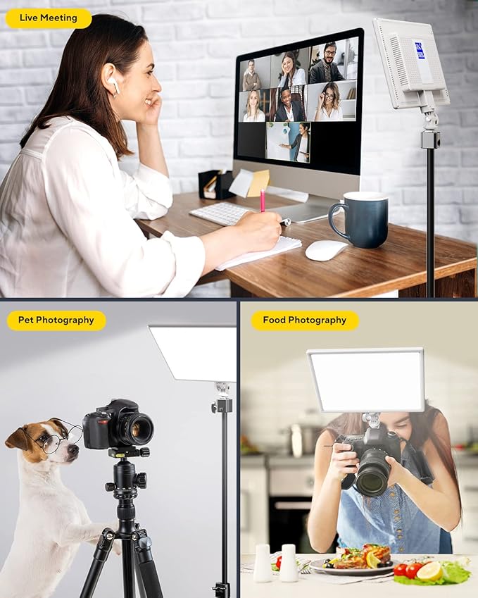 RALENO Led Video Light, Built-in 8000mAh Battery 2500-6500K CRI95+ 0-100% Brightness Adjustment on Camera Light, for Vlog Lighting Video Conference YouTube Studio Photography