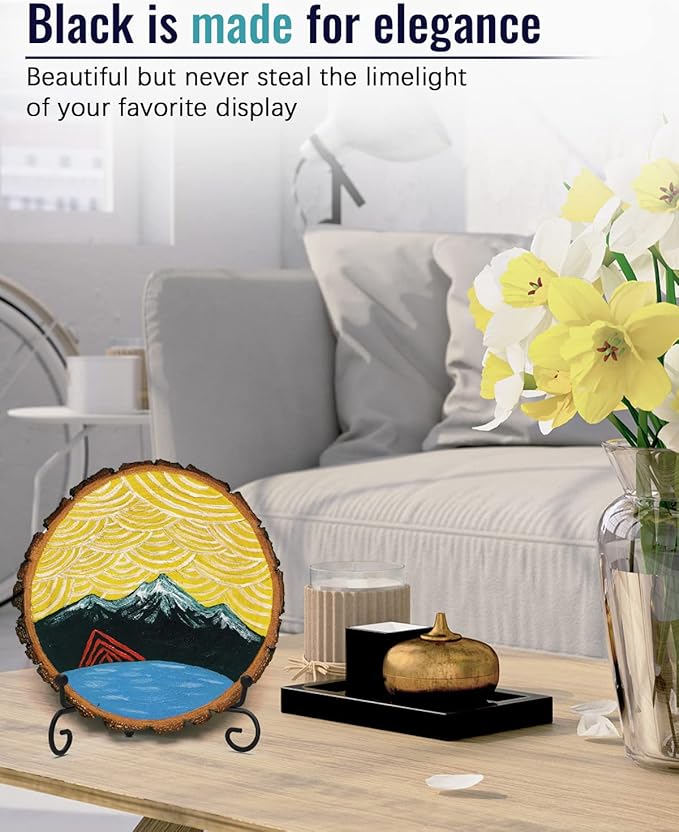 Iron Display Stand 10 Packs, 8 Inches Plate Stand Picture Stand Photo Stand for Display, Black Foldable Easel Stand Holder for Photo Frame, Artwork, Collection, Decorative Plate, Book, Office