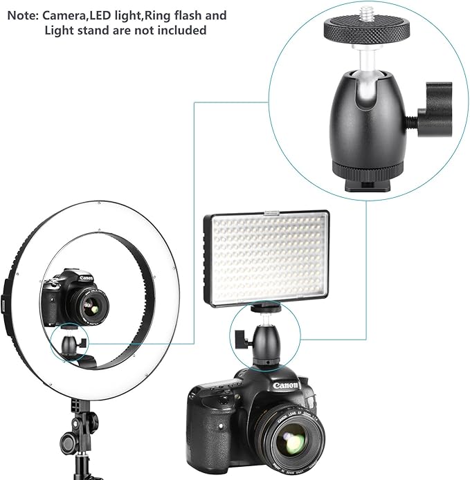 Neewer Mini Tripod Ball Head Mount, 1/4 inch Screw with Phone holder, Lock and Hot Shoe Mount Adapter Compatible with Compact DSLR Camera, LED Light,Ring Light,Load Up to 4.4 pounds/2 kilograms