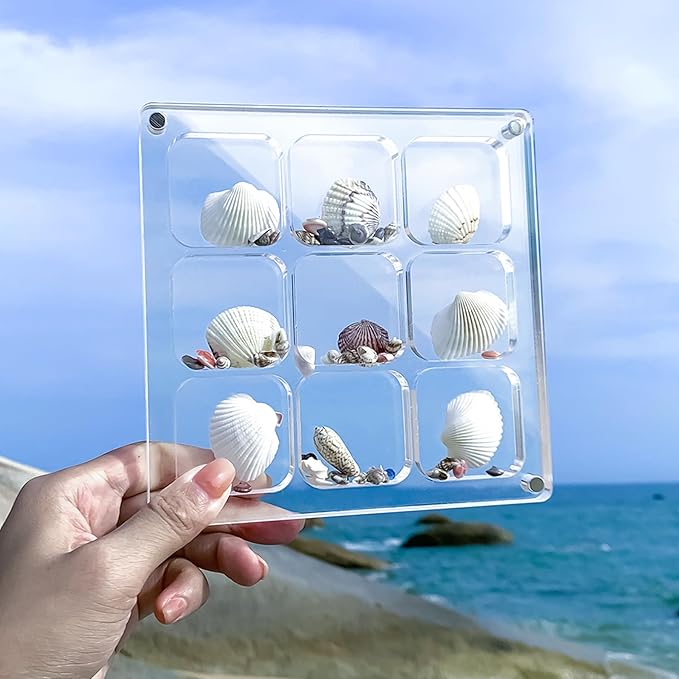 Multi-Style Clear Acrylic Magnetic Seashell Display Collecting Box, Acrylic Shadow Box for Tiny Treasure Hunting, Holder Display Grid Cabinet Case