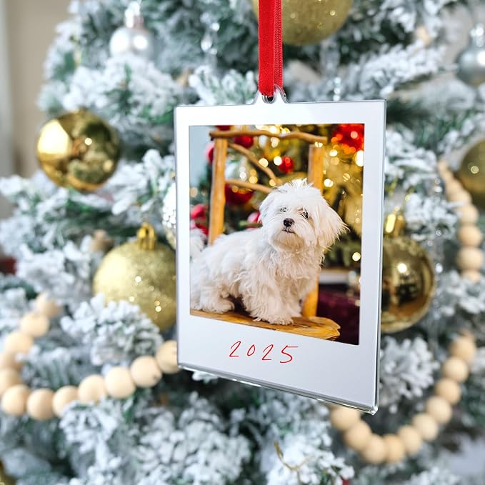 6 Set Christmas Acrylic Polaroid Film Picture Frames 3.5 * 4.25inch frame Ornaments, Blank Double-Sided Picture Frames Photo Frame for christmas tree Decor, Hanging Photo Ornaments For Tree (Silver)