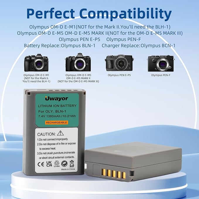 BLN-1 Battery 2 Pack and Dual Charger for Olympus BLN-1, BCN-1 and Olympus OM-D E-M1, OM-D E-M5, Pen E-P5 E-M5 MKII, Pen-F, Pen E-P5, HLD-6 Camera
