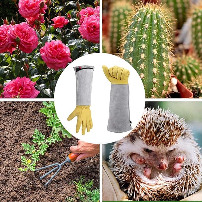 Supersfel Rose Pruning Gloves for Men/Women, Long Gardening Gloves Thorn Proof, Cactus Glove, Goatskin Leather Planting Gauntlet Garden Working Glove, Gardening Gifts for Gardeners (Small)