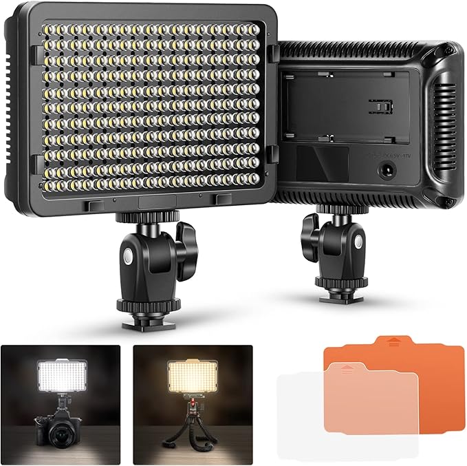 Neewer on Camera Video Light Photo Dimmable 176 LED Panel with 1/4" Thread for Canon, Nikon, Sony and Other DSLR Cameras, 5600K (Battery Not Included)