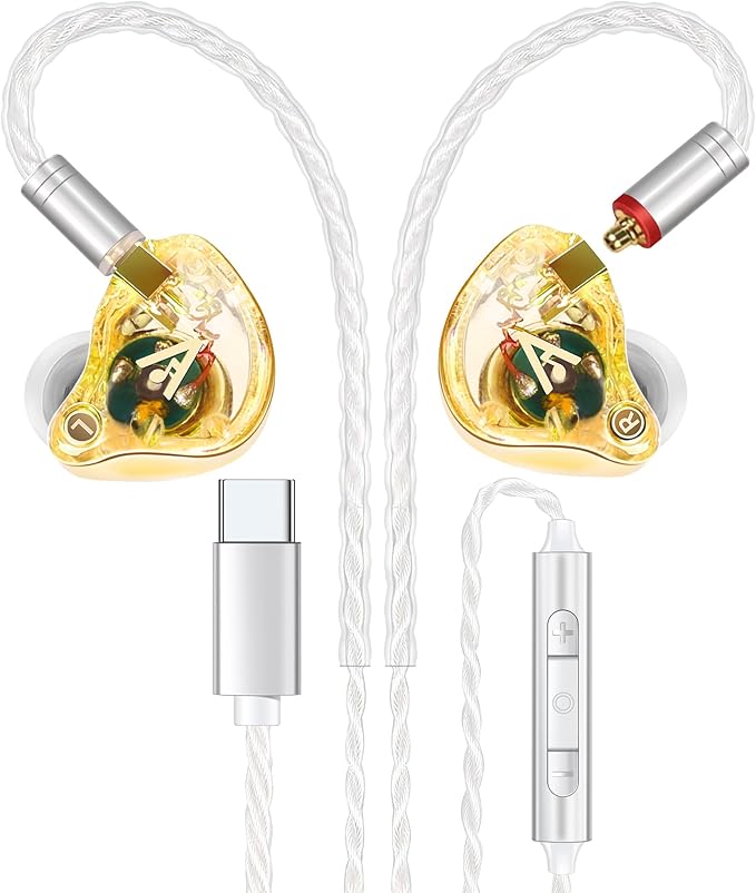 Vibes 202MC USB-C Wired Earbuds - USBC HiFi in Ear Headphones for iPhone 17/16/15 - Noise Isolating Ear Buds w/ Mic - Clear Sound, Deep Bass & Comfort-Fit Earphones - Silver Plated Cord, Carrying Case