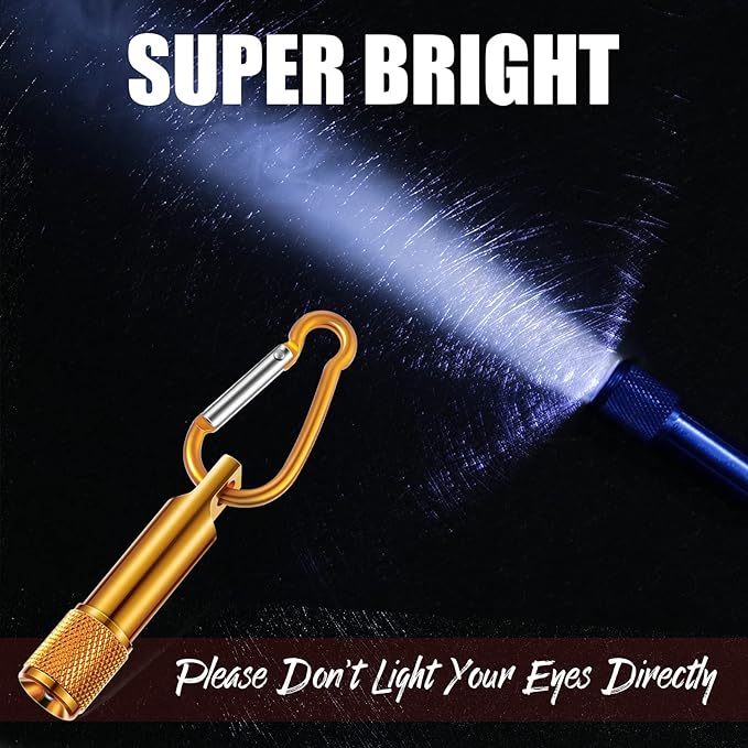 CHENGU 25 Pack Mini Keychain Flashlights Bulk with Carabiner Pocket LED Handheld Flashlight for Summer Outdoor(Multi Color)