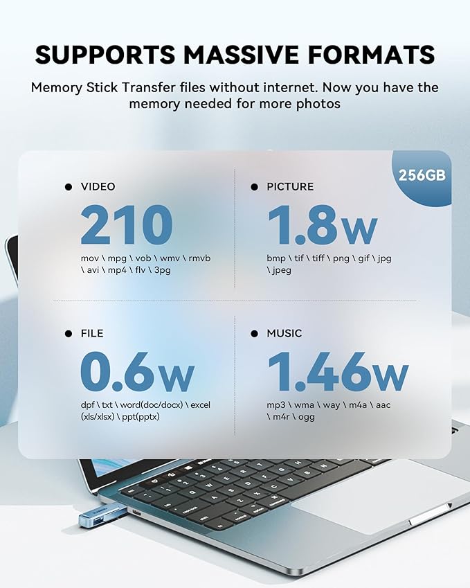 MFi Certified 256GB iPhone Photo Stick, USB Flash Drive for Photo/Video Backup, High-Speed Thumb Drive Compatible for iPhone/iPad/Android/PC (Blue)
