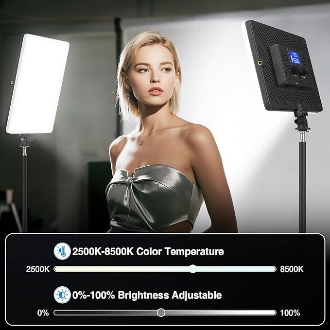 LED Video Light Panel, 20W Photography Lighting Portable Camera Soft Light Built-in 4000mAh Battery Type C, 2500K-8500K Photo Led Light for Video Recording Live Streaming Outdoor Indoor