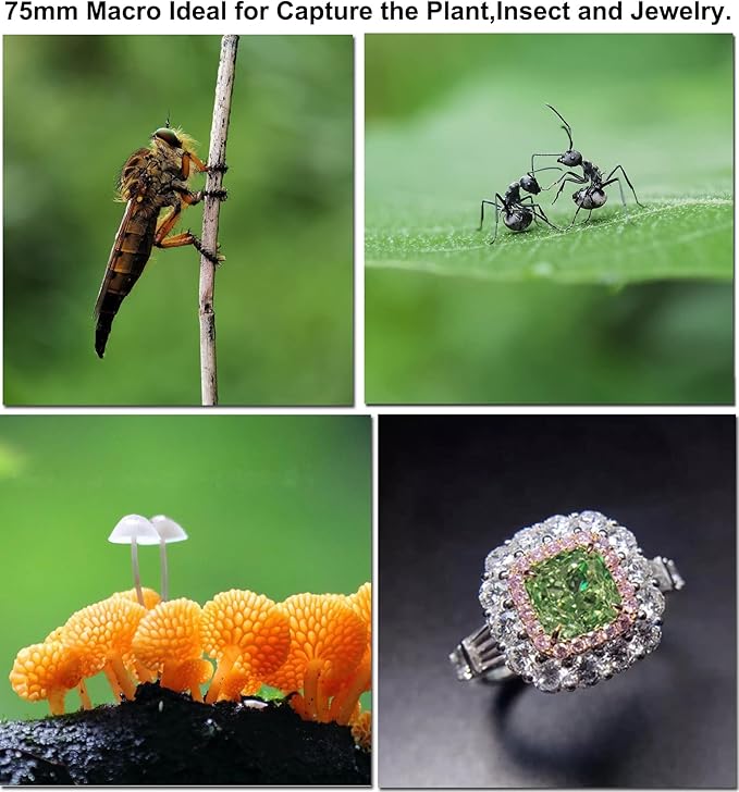75mm Macro Lens for iPhone 16 15 14 13 Pro Max Samsung Moto TCL Android Phone,Detail Camera Lens with Clip,Close-up Pictures