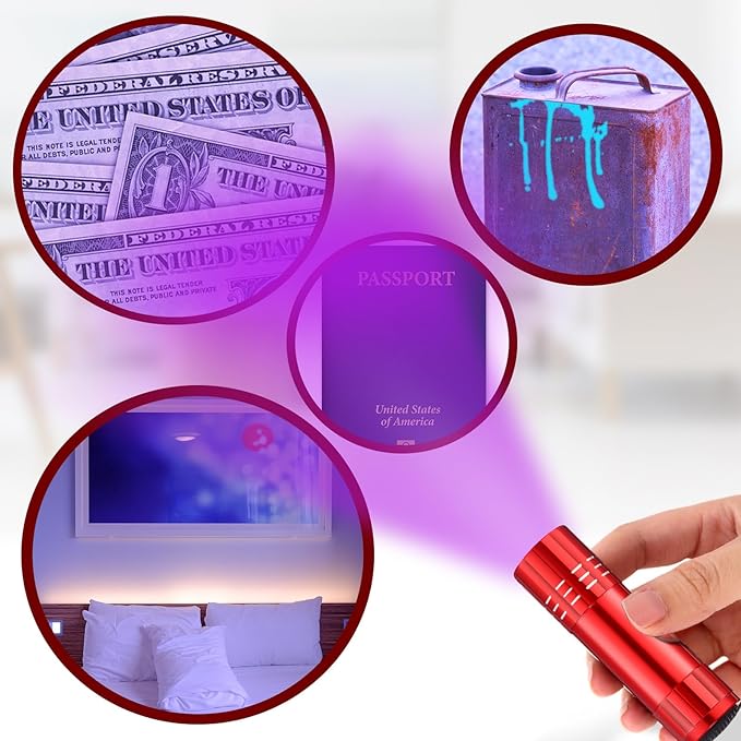Riakrum 12 Pcs UV Blacklight Flashlights LED Handheld Mini Light Flashlight Small Portable Detector 395nm 9 LED Light for Pet, Carpet Dry Stains Detection, Spot Scorpions, Resin Curing (Red)