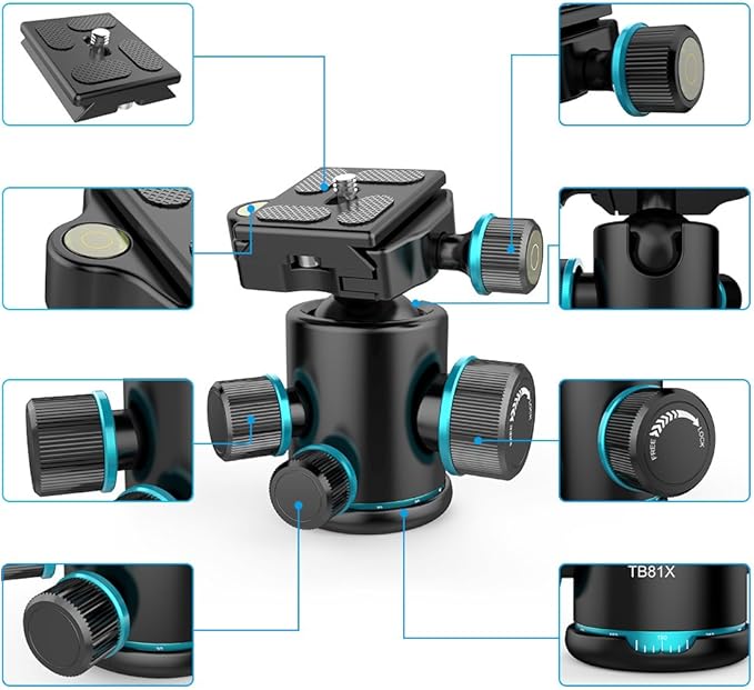 Andoer Tb81X Tripod Ball Head 360 Degree Rotating Panoramic Camera Quick Release Ball Head for Tripod Monopod Slider DSLR Camera with 3Pcs 1/4" to 3/8" Srew Adapters Max. Load 8Kg/17.64Lbs