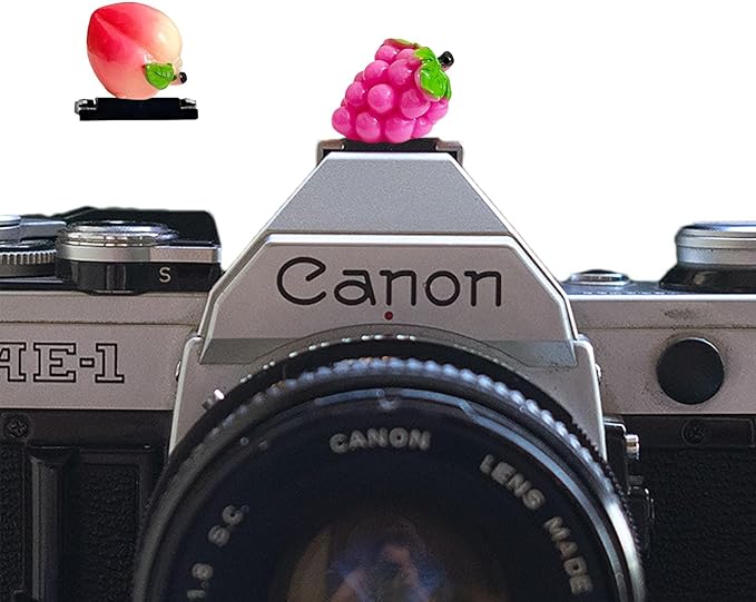 Camera Hot Shoe Cover, Cute Hot Shoe Cap, Hot Shoe Protector Compatible with Sony Fujifilm Fuji Canon Nikon Pentax Leical Panasonic (2pcs Grape Peach)