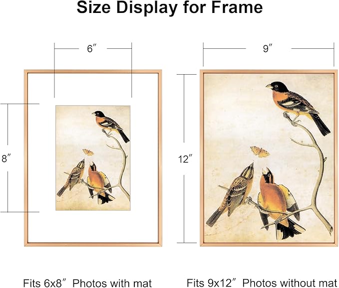 BKABOT 9x12 Picture Frame, Gold Metal Photo Frames with HD Glass, Fits 6x8 with Mat or 9 x 12 without Mat, Display for Wall and Table, 1 Pack