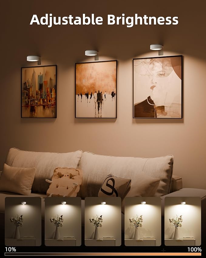 EZVALO Picture Lights for Wall, 2000mAh Rechargeable Battery Magnetic Poster Lights with 3 Color Temps & 12 RGB, Remote Dimmable Timer Painting Light, Wall Decor Light for Art Display, Frame (6 Pack)
